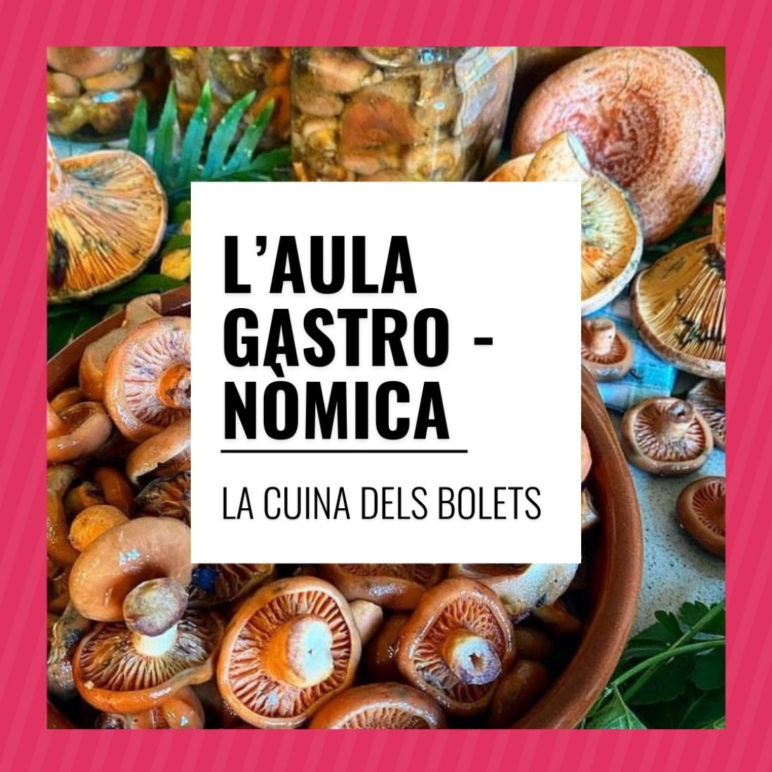 L'Aula Gastronòmica - La cuina dels bolets L'Aula Gastronòmica - La cuina dels bolets