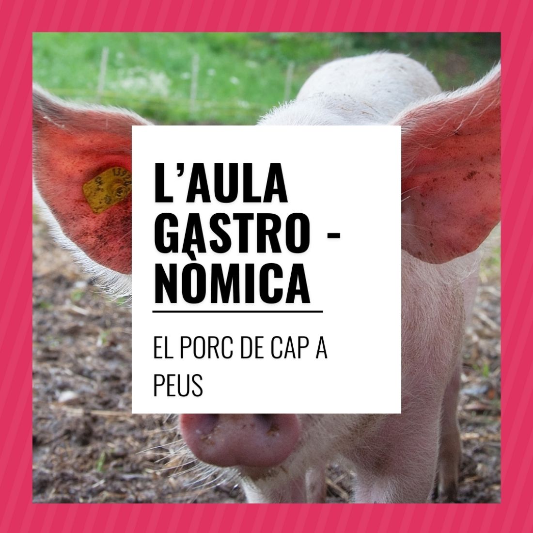 L'Aula Gastronòmica - El porc del cap als peus L'Aula Gastronòmica - El porc del cap als peus