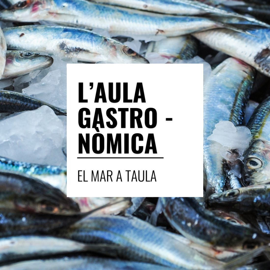 L'Aula Gastronòmica - El mar a taula L'Aula Gastronòmica - El mar a taula